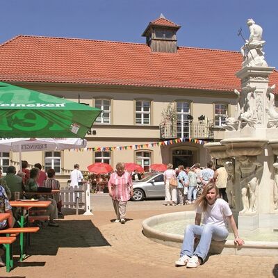 Bild vergr&ouml;&szlig;ern: Neptunbrunnen mit Rathaus im Hintergrund